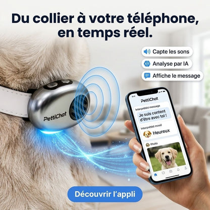 PettiChat – Appareil intelligent avec IA pour chats et chiens