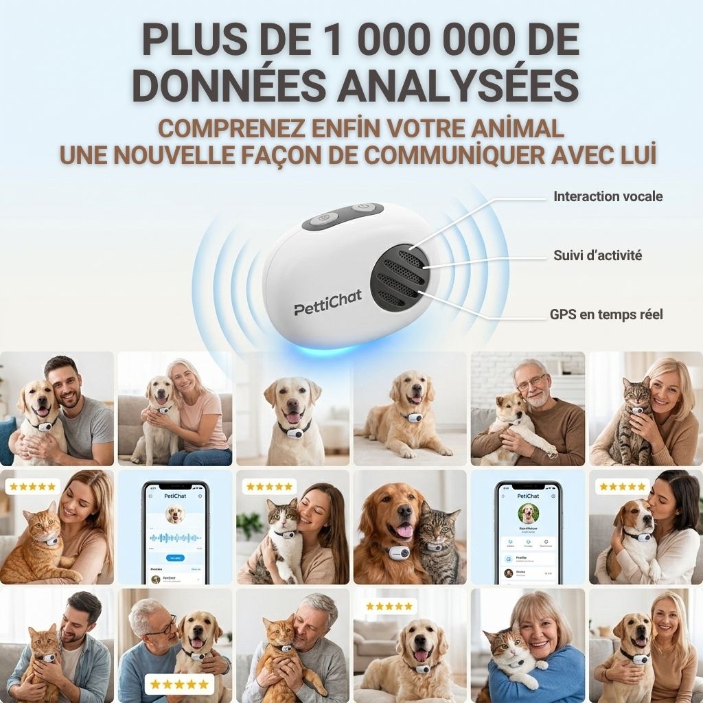 PettiChat – Appareil intelligent avec IA pour chats et chiens